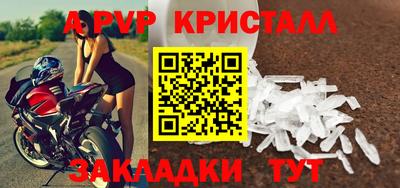 ГАЛЛЮЦИНОГЕННЫЕ ГРИБЫ Кингисепп