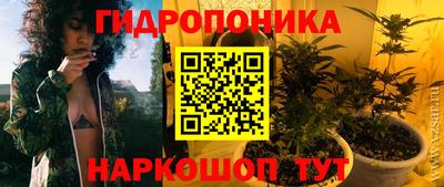 ГАЛЛЮЦИНОГЕННЫЕ ГРИБЫ Кингисепп